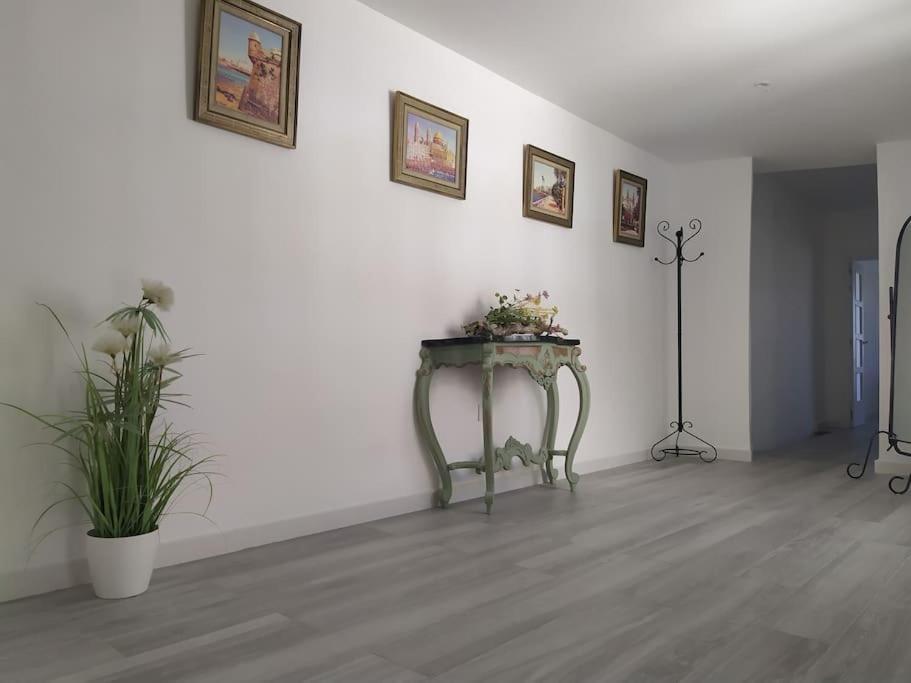 加的斯Espectacular Piso En La Misma Plaza Del Mentidero.公寓 外观 照片