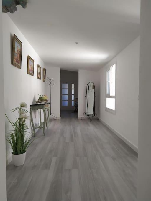 加的斯Espectacular Piso En La Misma Plaza Del Mentidero.公寓 外观 照片